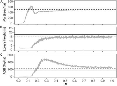 Wind Speed Controls Forest Structure in a Subtropical Forest Exposed to Cyclones: A Case Study Using an Individual-Based Model